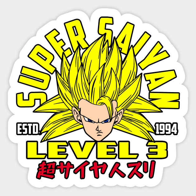 The level 3